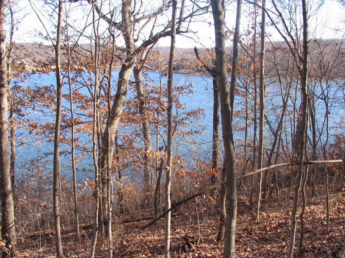 0 Anthonies Mill Road - Photo 1