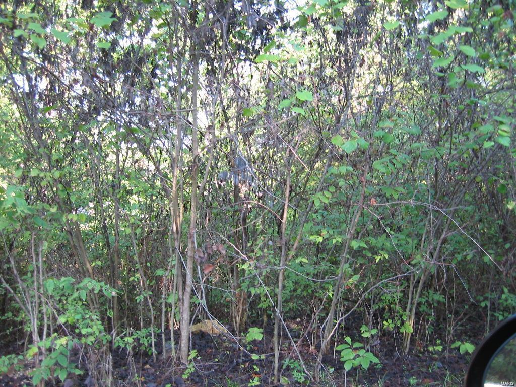 0 Blueberry Drive (Lot 528) - Photo 1