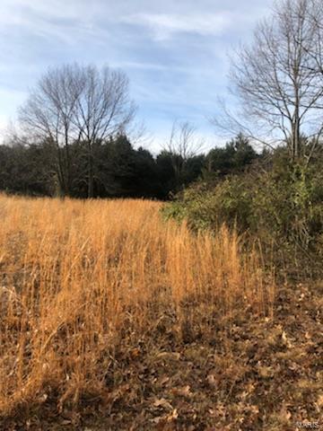 371 Clement Road - Photo 1