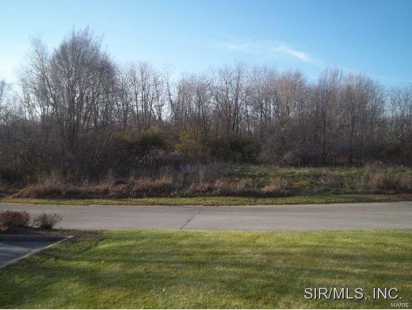 0 Professional Drive - Photo 1