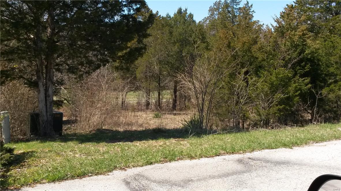 141 Cottonblossom Drive - Photo 1