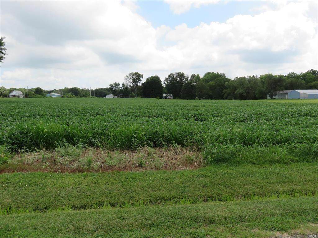 137 Cahokia - Photo 1