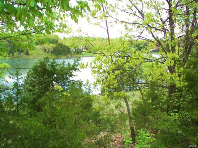10031 Waterford Drive - Photo 1