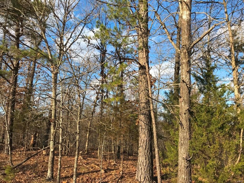 0 Raccoon Lane - Photo 1