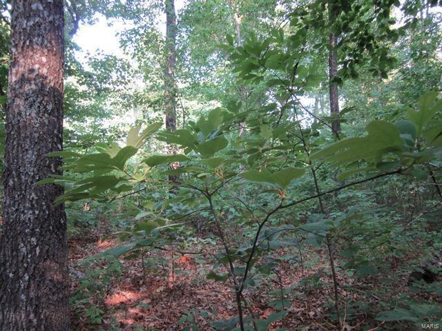 37 Lakeview Trail - Photo 1
