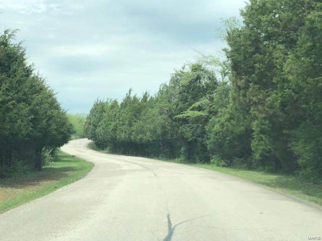 0 Pioneer Road - Photo 1