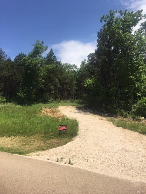 3515 Buttermilk Drive - Photo 1