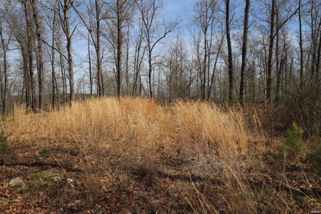 0 01 Hwy 67 - Photo 1
