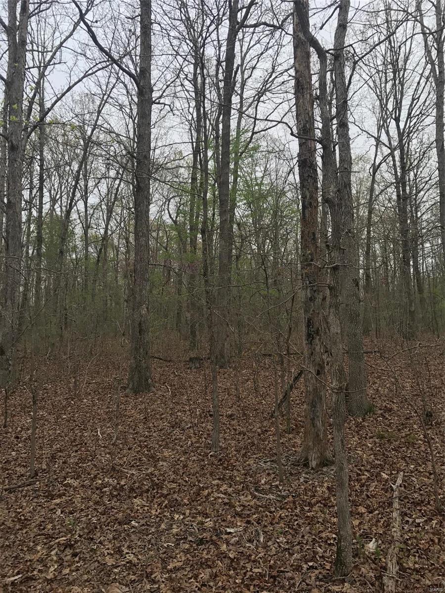 535 Butler Co Rd - Photo 1