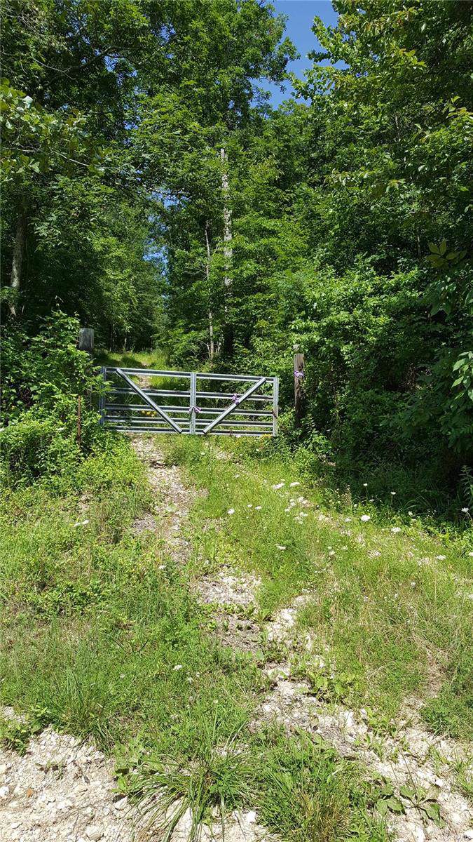0 Tbd County Road 457 - Photo 1