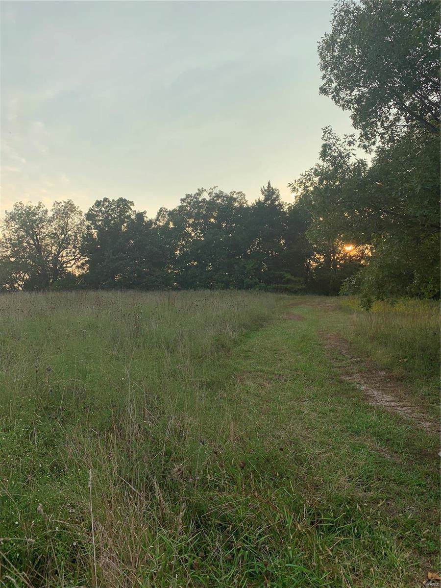 509 Lake Run - Photo 1