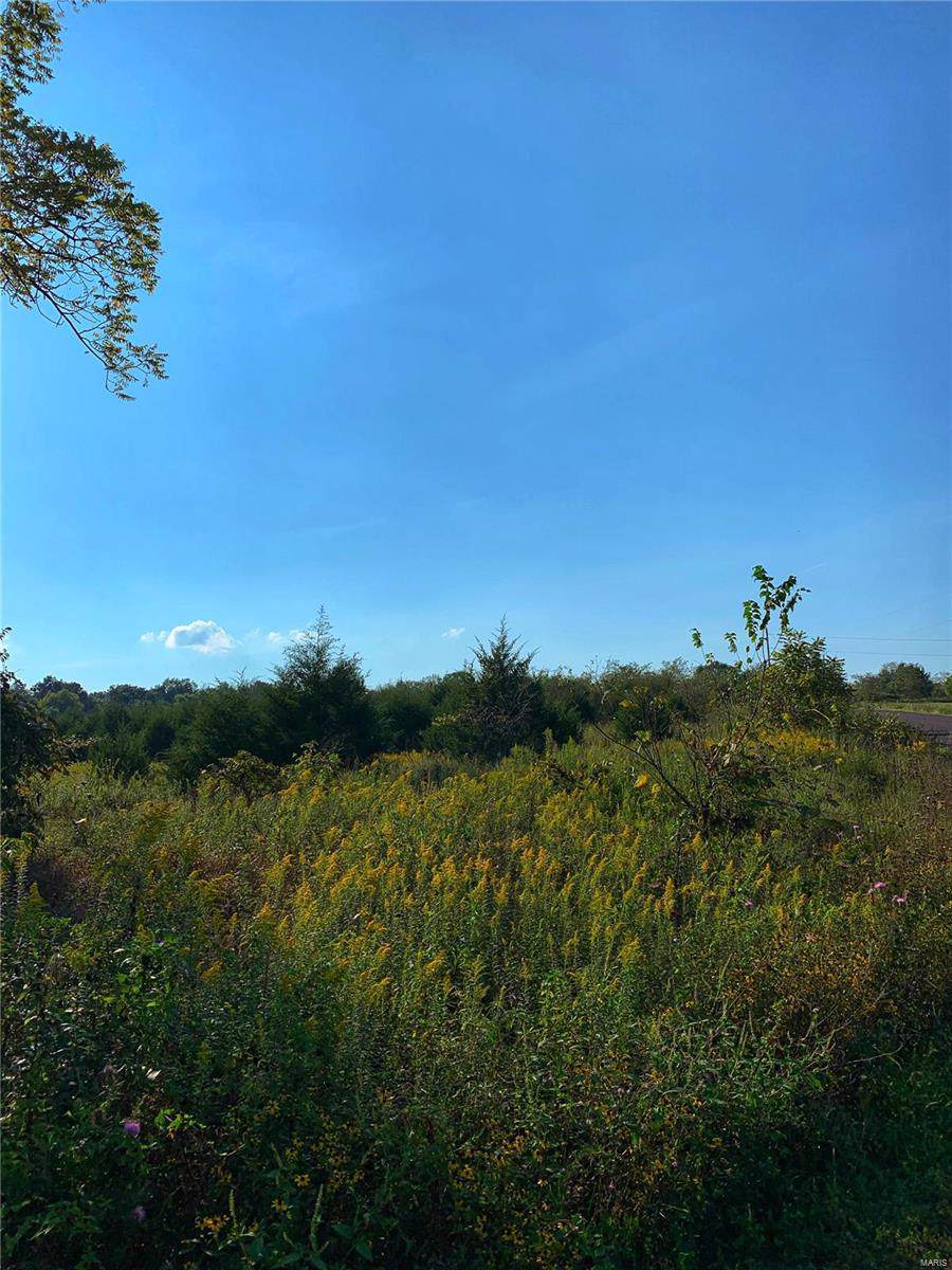 3058 Stuart - Photo 1