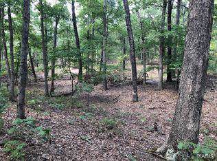 0 Chestnut Ridge Road - Photo 1