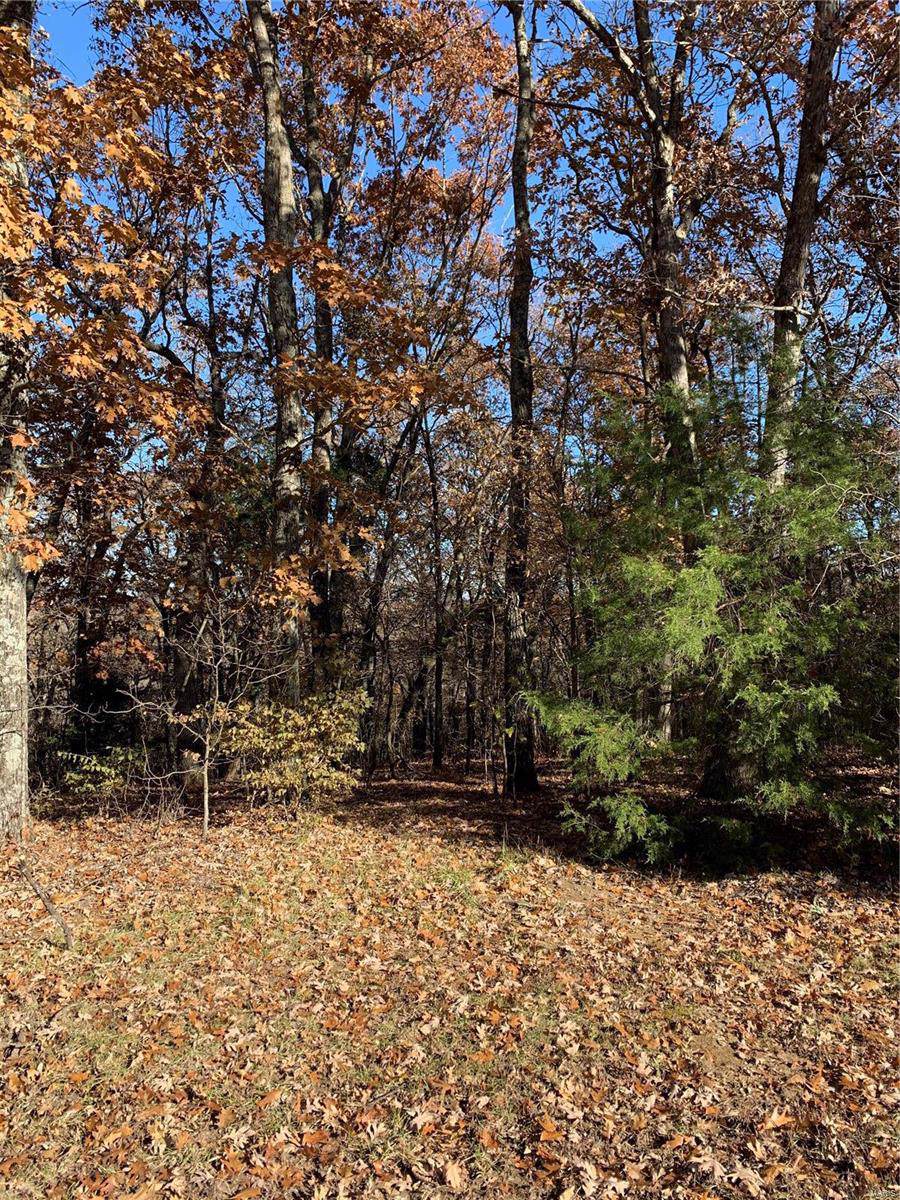 0 Deer Run Estates - Photo 1