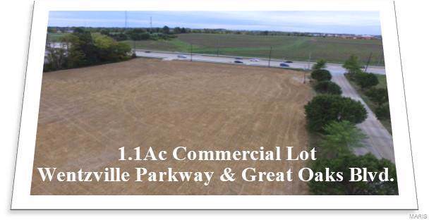 0 Acres Wentzville Parkway - Photo 1