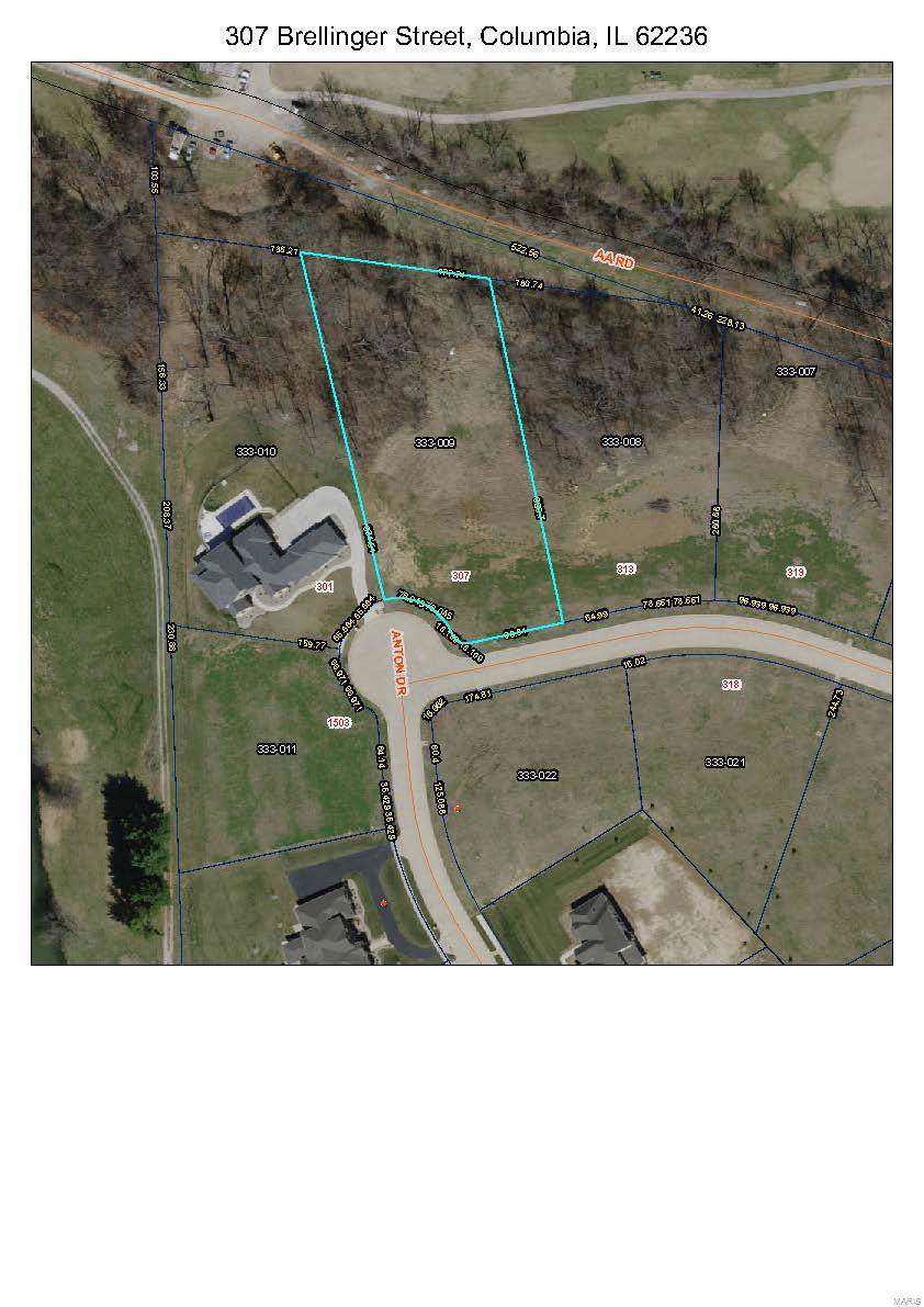 307 Brellinger Street - Photo 1