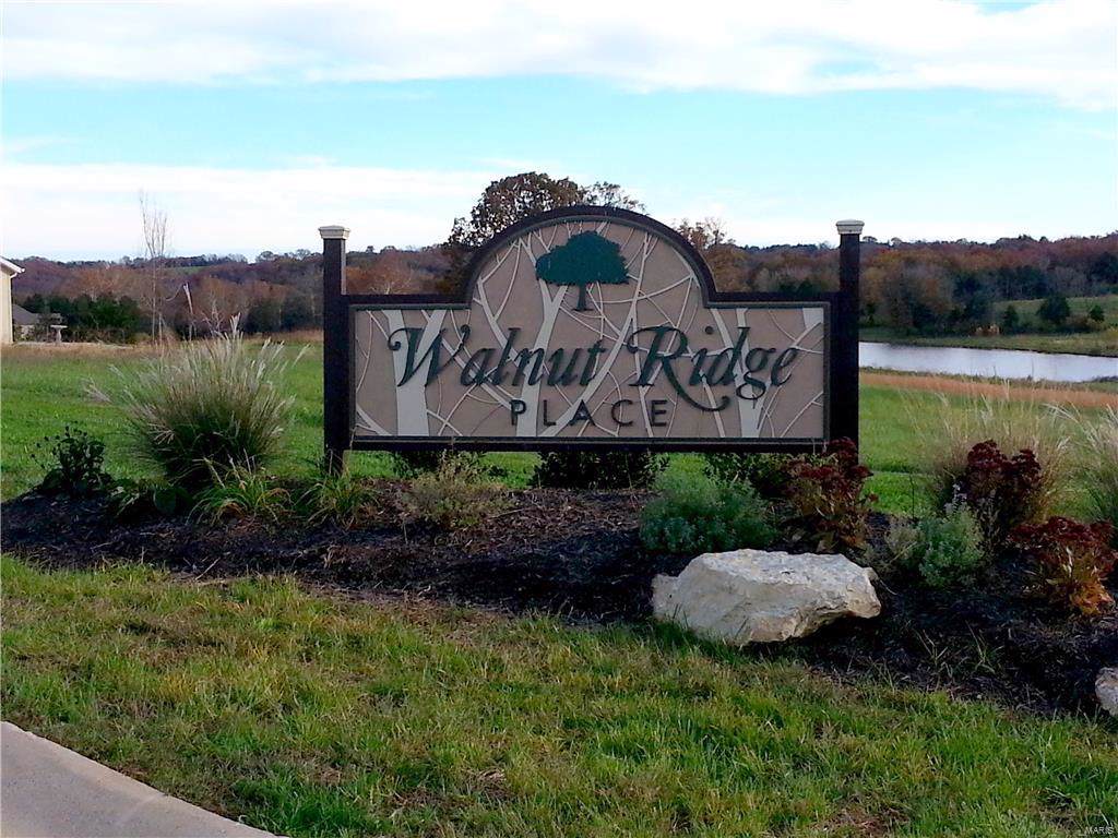 48 (Lot) Walnut Ridge Place - Photo 1