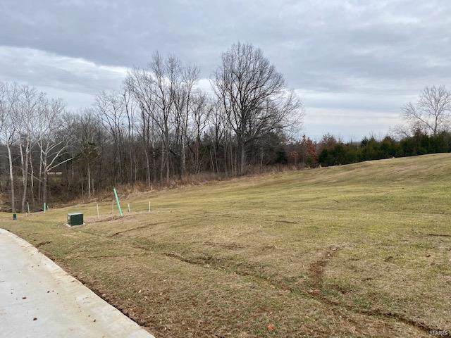 16 Walnut Ridge Place Plat 4 - Photo 1