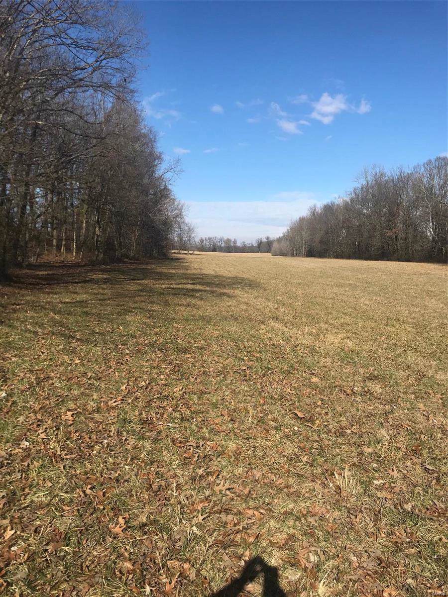 249 County Road 249 C - Photo 1
