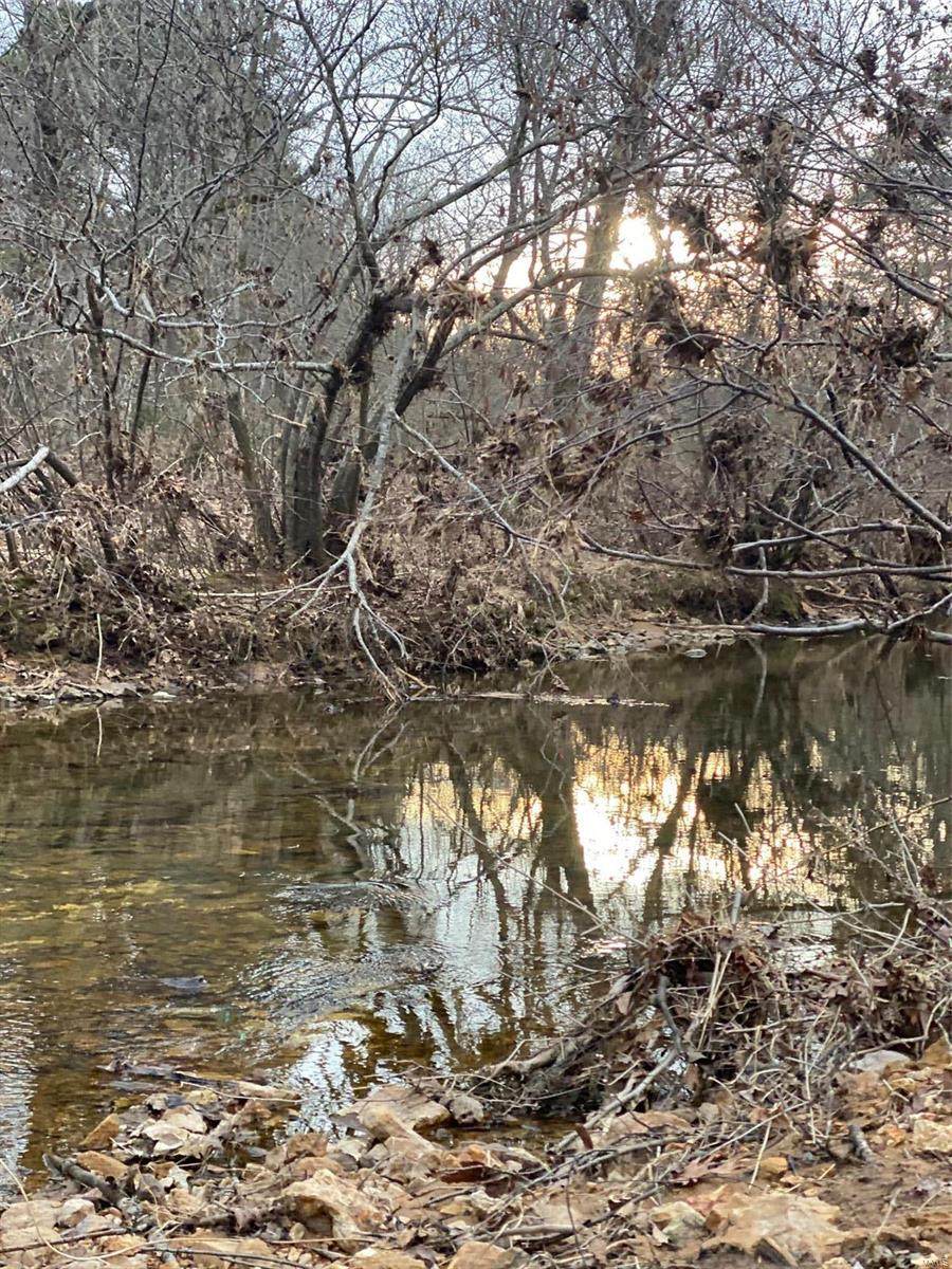 0 Hwy 60 - Photo 1