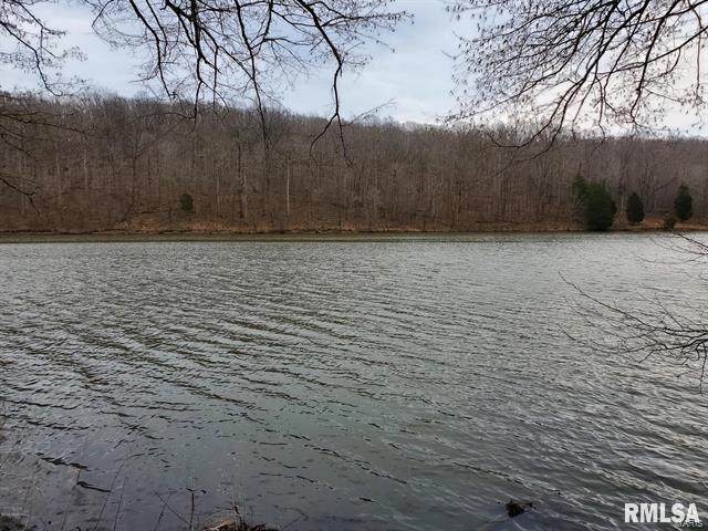 380 Clifty Lane - Photo 1