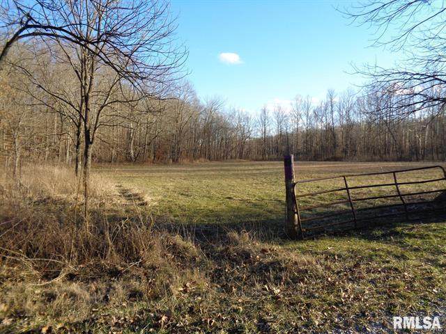 0 Pauper Farm Road - Photo 1
