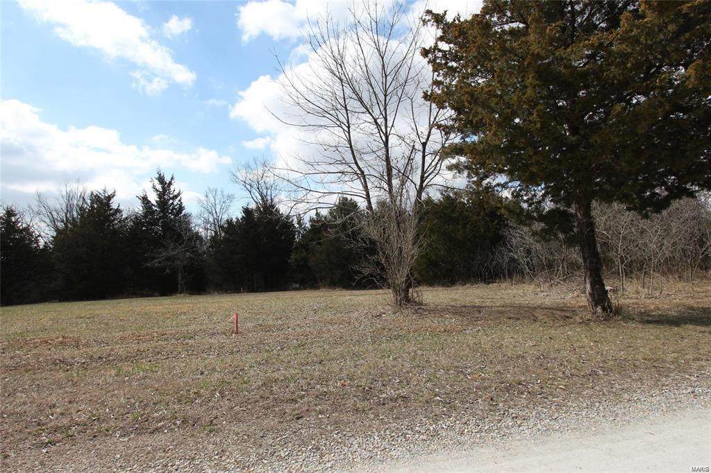 0 Lot 36 Brandywine Drive - Photo 1