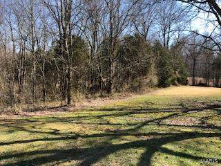 0 Blackberry Hills Lane - Photo 1