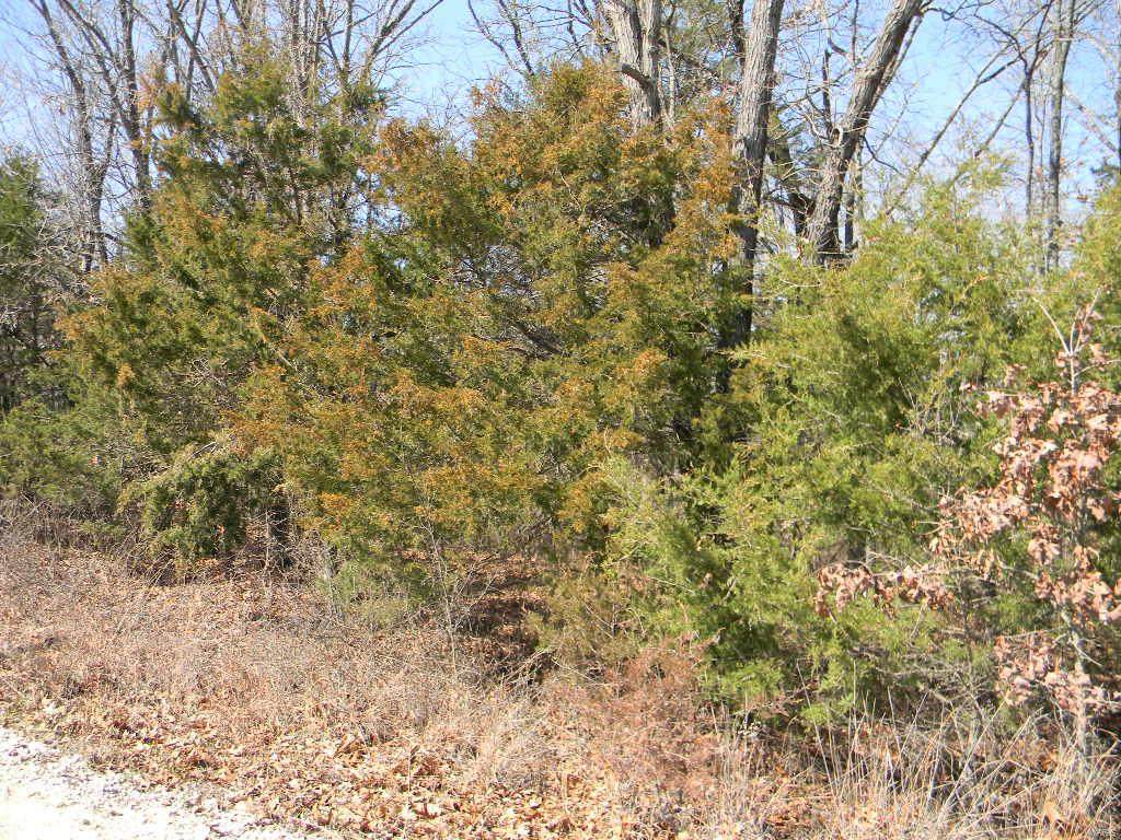 0 Sky Line Drive - Blk 1, Lot 12 - Photo 1