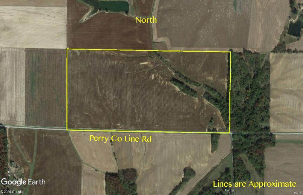 15925 Perry Co Line Road - Photo 1