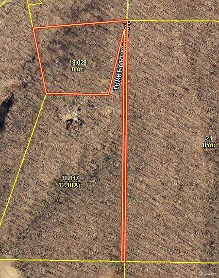 0 Turkey Roost Lane. 3.52 Acre - Photo 1