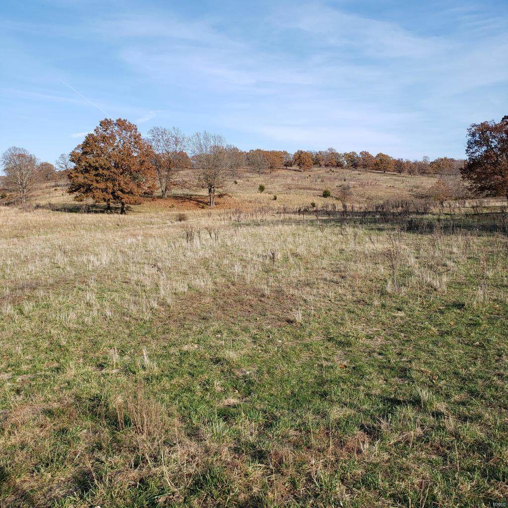 8109 Highway Jj - Photo 1