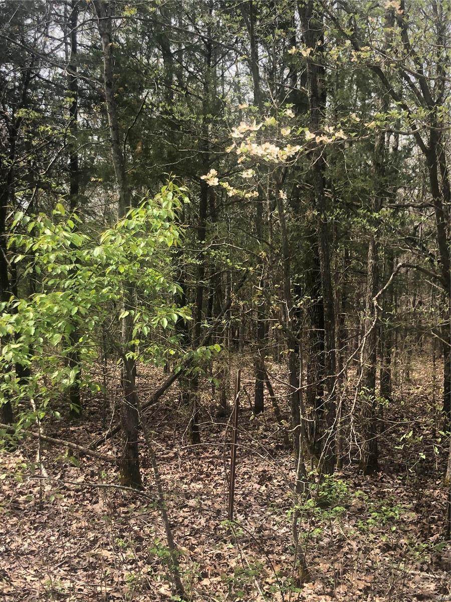 0 County Road 4160 - Photo 1