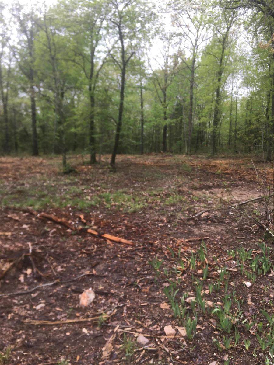 6 Patton Acres - Photo 1