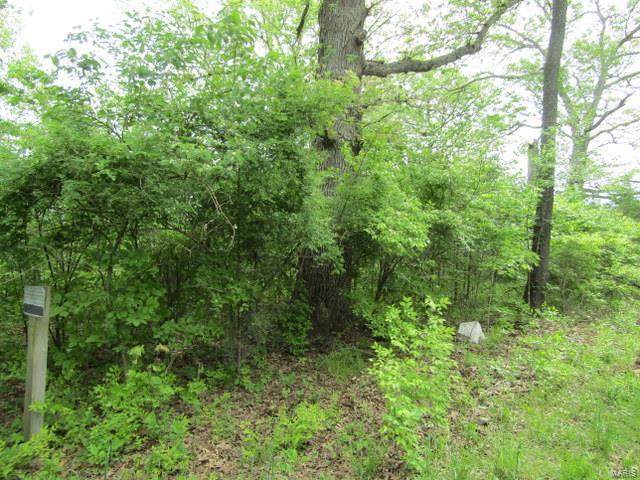 404 Skeeter Hollow - Photo 1