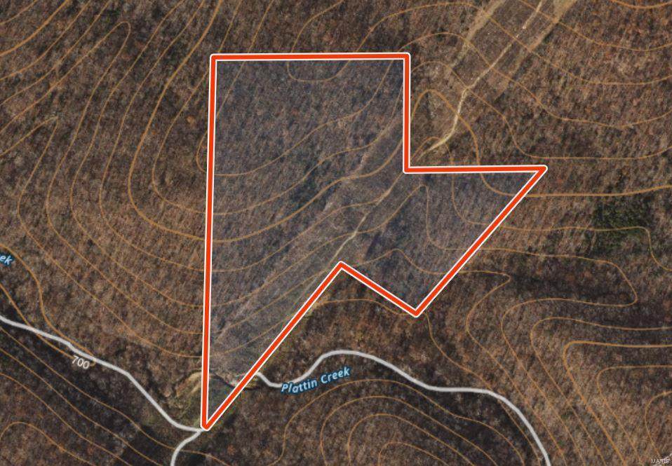 0 Whittaker Rd - Photo 1