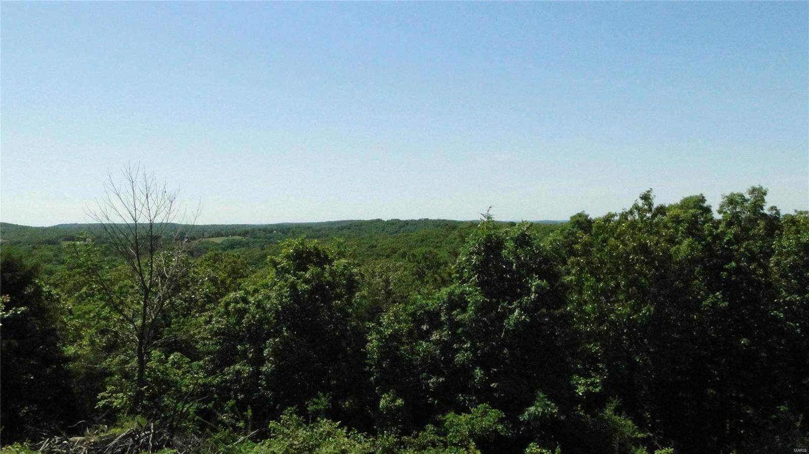 0 County Road 8010 - Photo 1