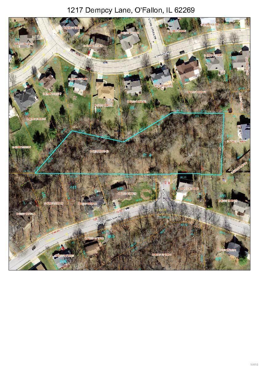 1217 Dempcy Lane - Photo 1