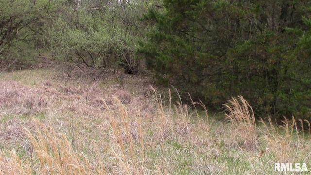 0 Us Hwy 45 - Photo 1