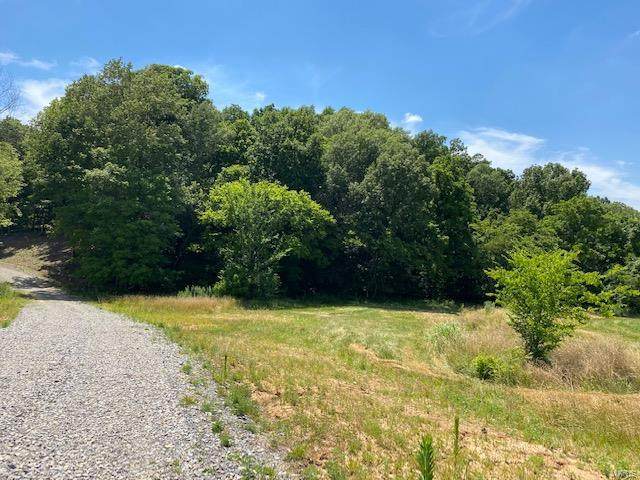 2669 County Road 318, Lot 1 - Photo 1