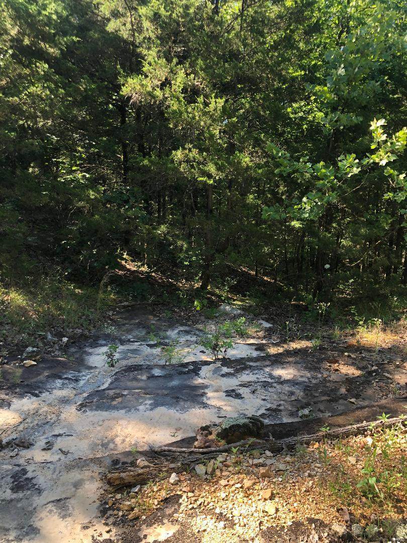 0 County Road 7240 - Photo 1