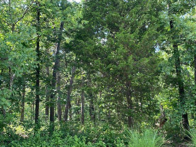 0 Plat 8, Lot 3 Tanglewood Trail - Photo 1