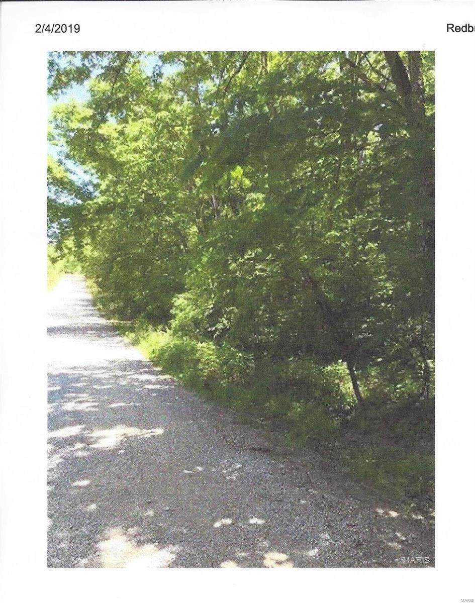 0 Redbud Drive - Photo 1