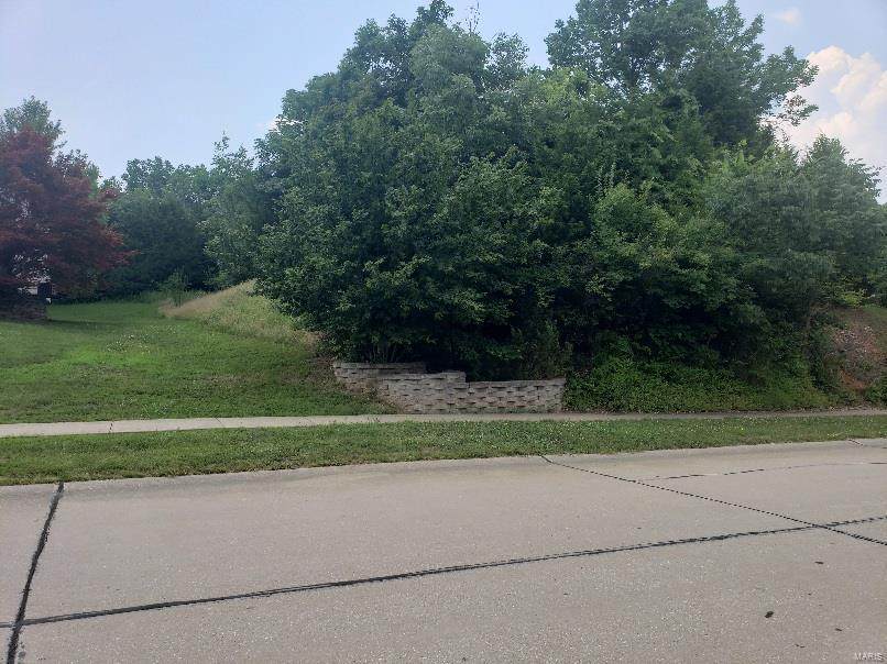 0 14 Acres Off Brennan's Glen - Photo 1