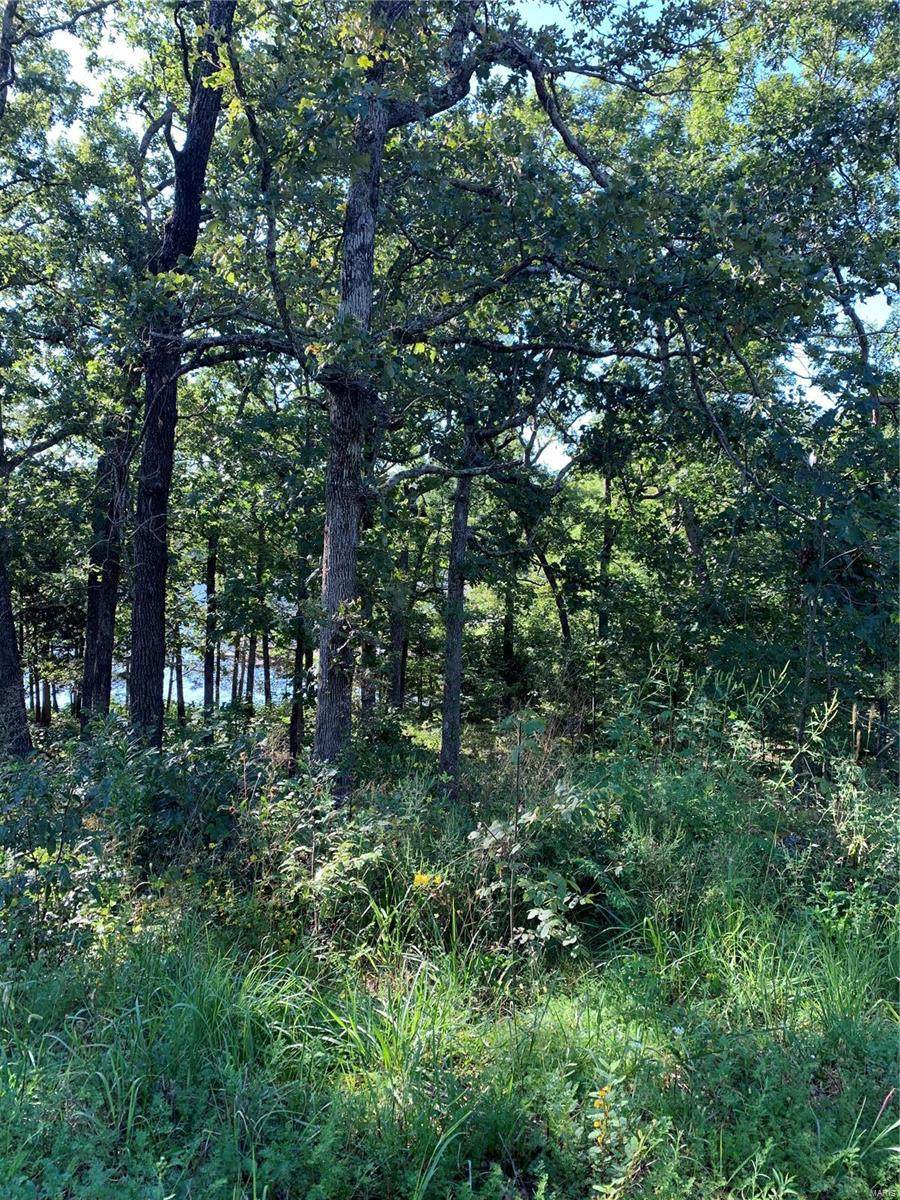 0 Woodson Drive - Photo 1