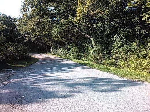 9232 Kerkhoff Road - Photo 1