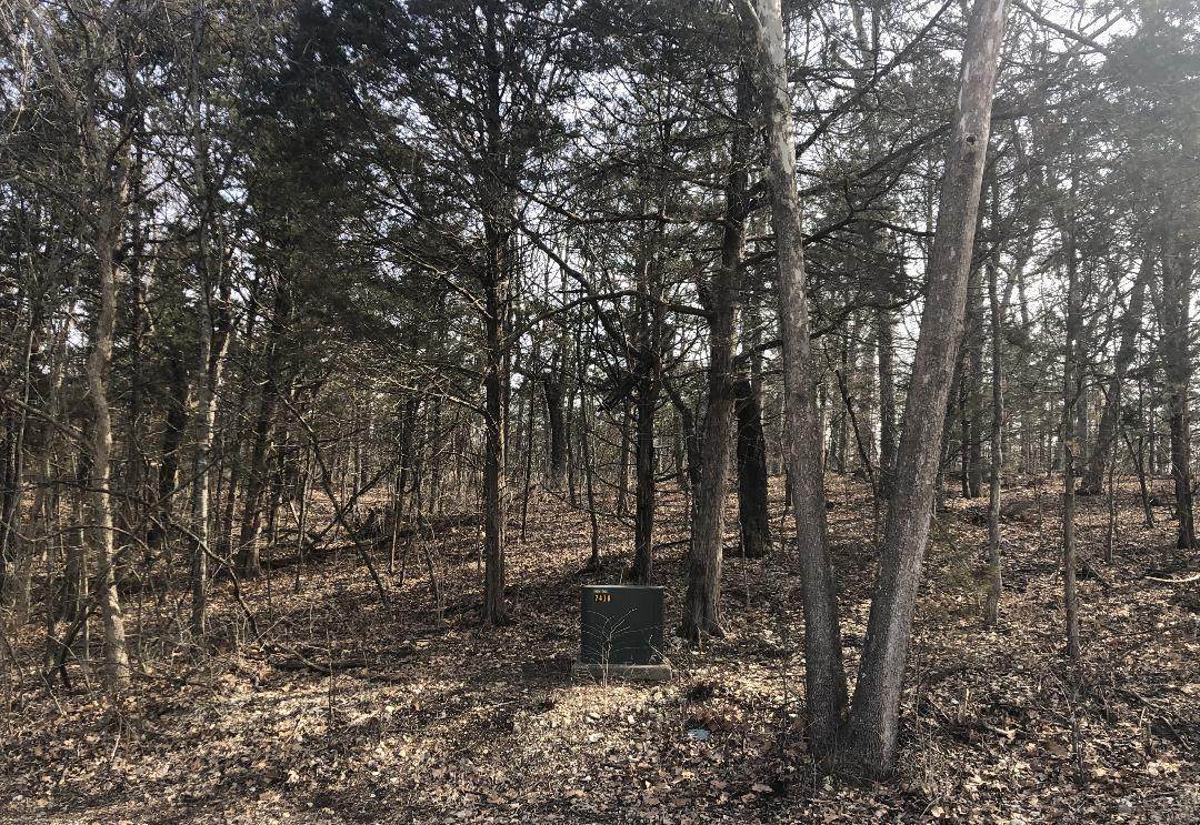 0 Lot 55 East Vista - Photo 1