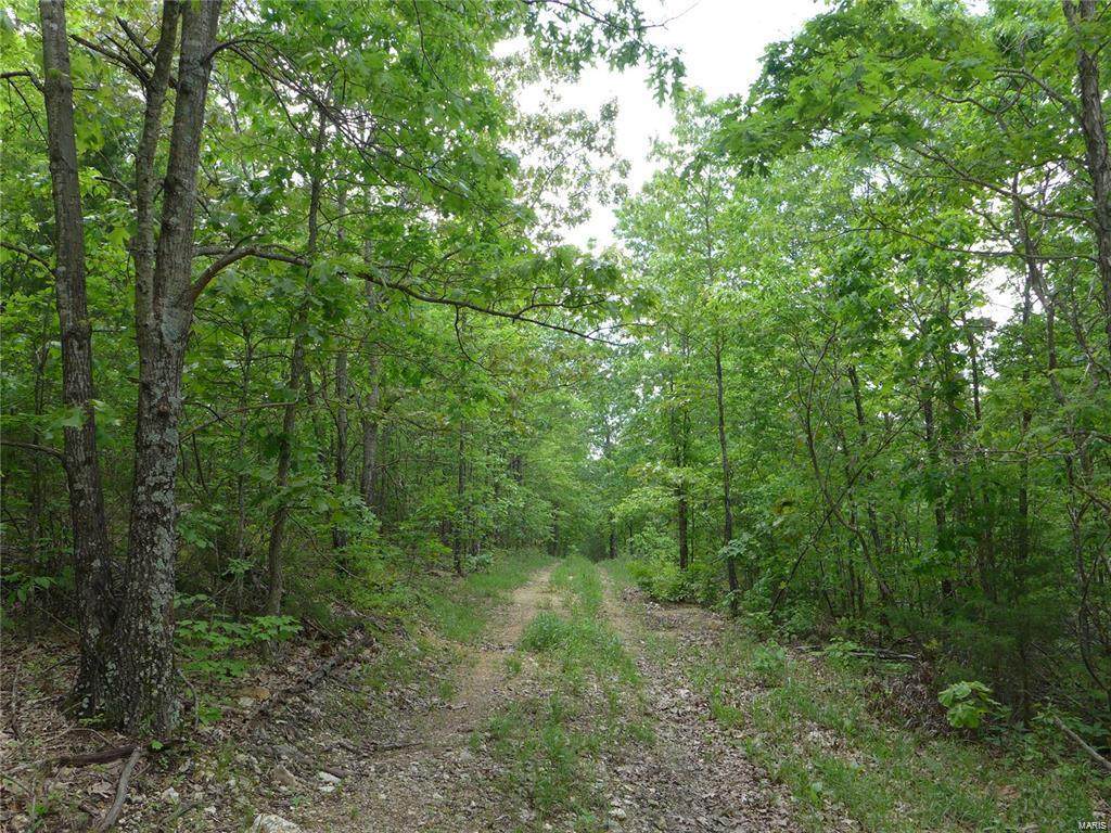 0 Madison 9508 - Photo 1