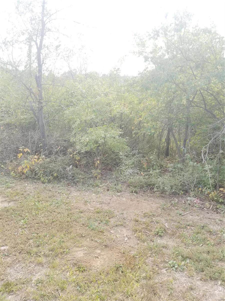 1325 Hwy 79 - Photo 1