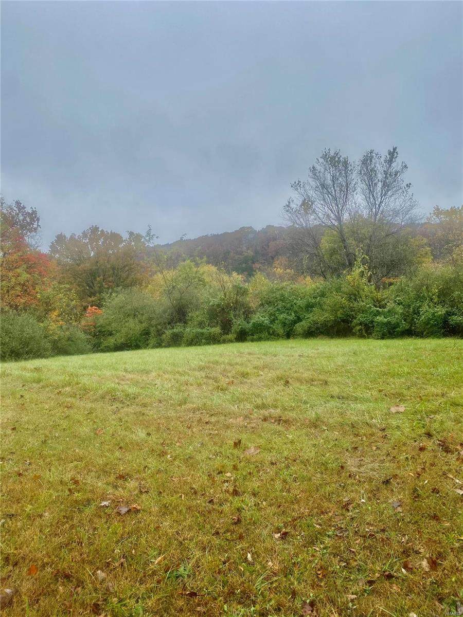 0 Lots 78 & 79 Osage Drive - Photo 1